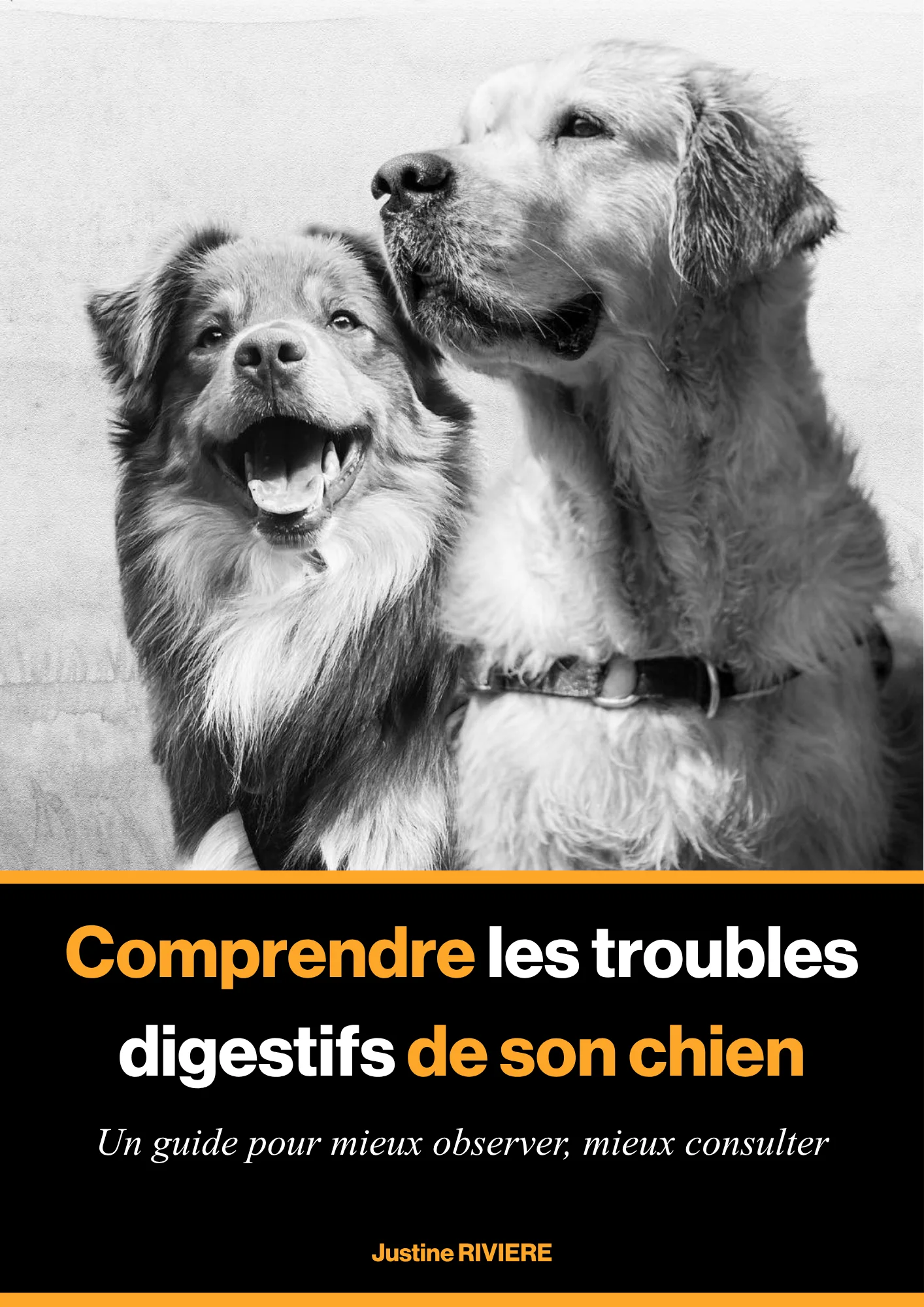 Couverture de l'ebook Comprendre les troubles digestifs de son chien, par Justine Riviere