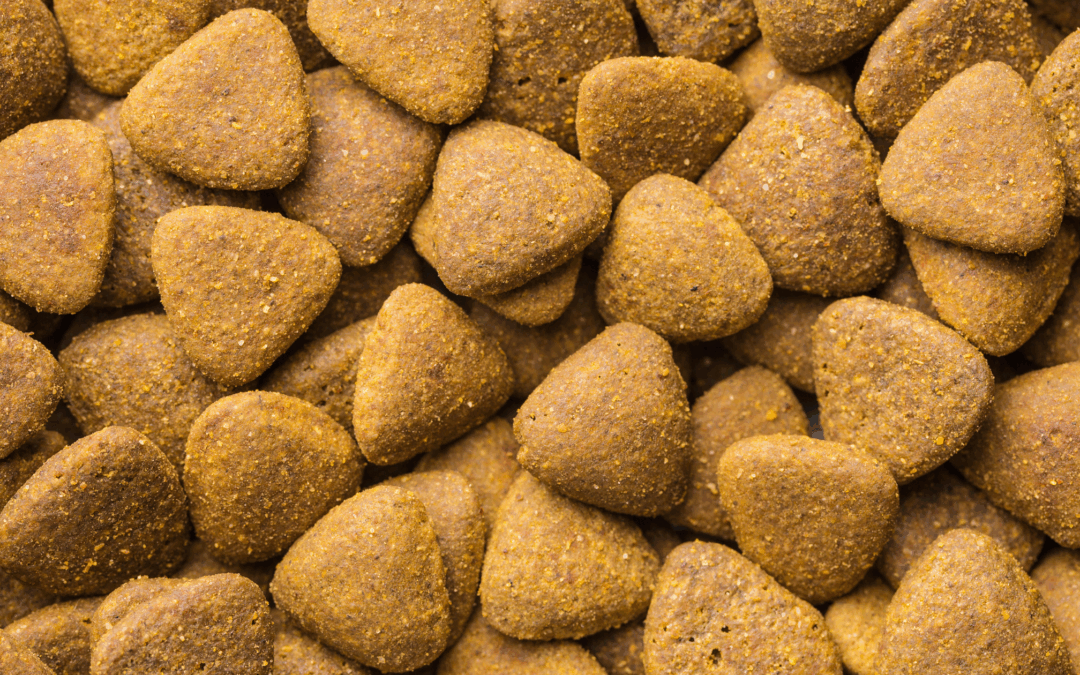 L’industrie du petfood domine-t-elle le monde ?